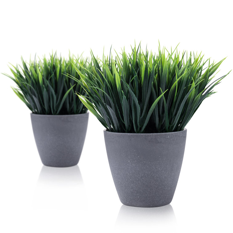 Primrue 2 Artificial Plant in Pot Set & Reviews Wayfair